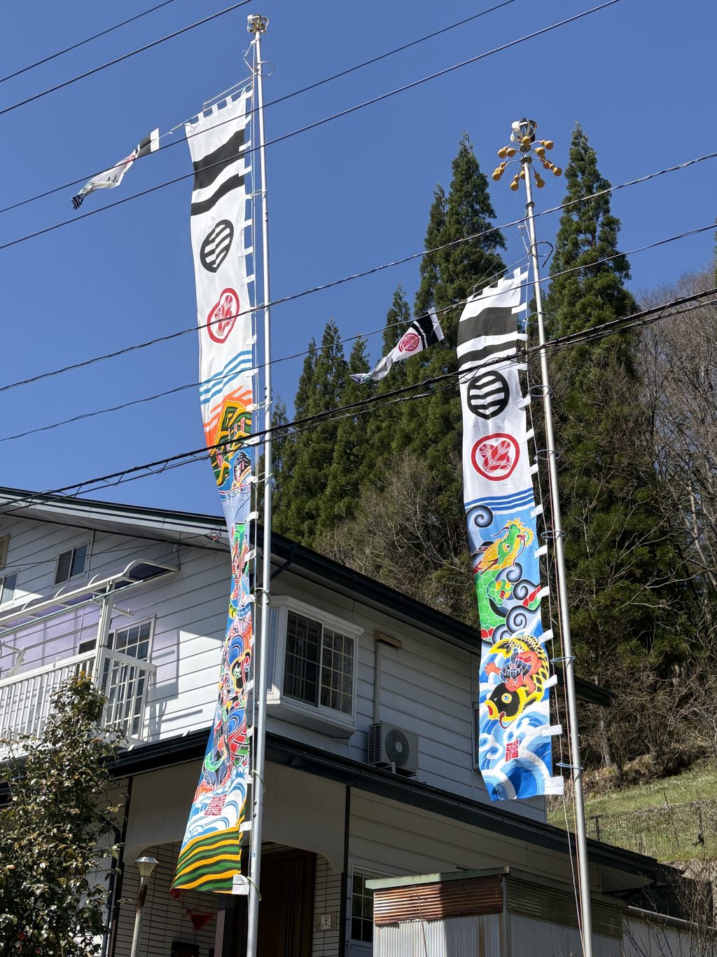 長野市　燈茉くん颯太くんの武者幟♫